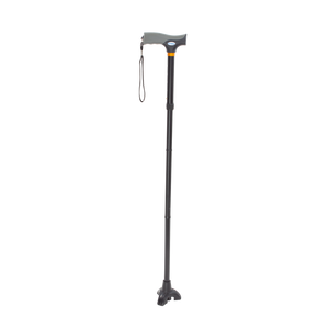 Stand Up Cane