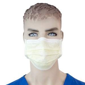 Isolation Mask with Ear Loop