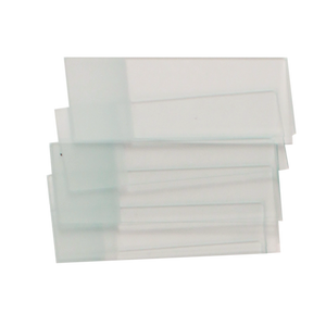 Microscope Slides