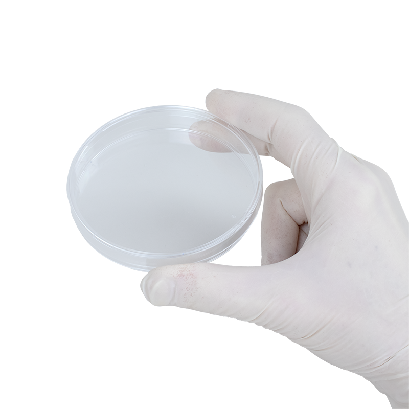 Petri Dish
