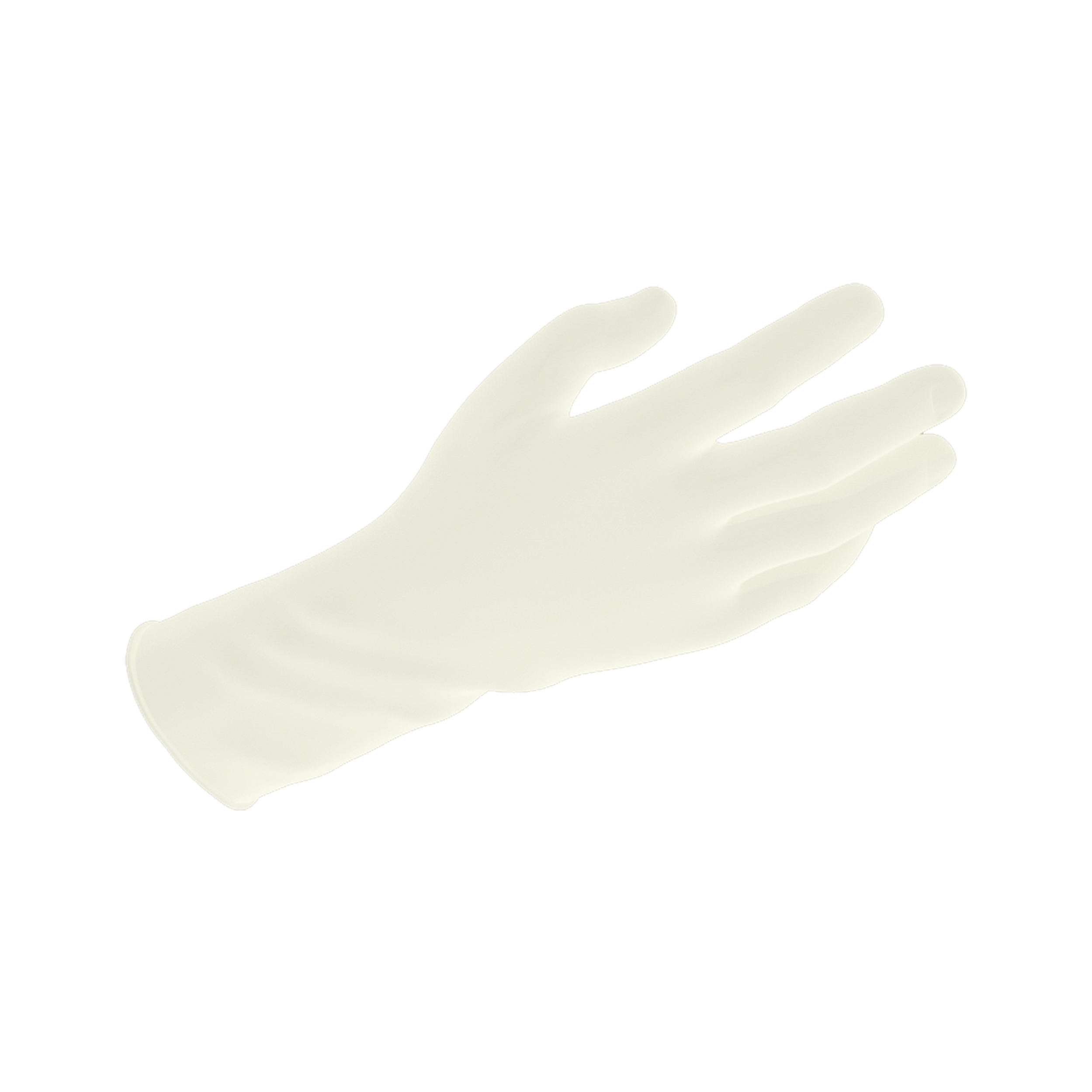 Exam Gloves In A Bag
