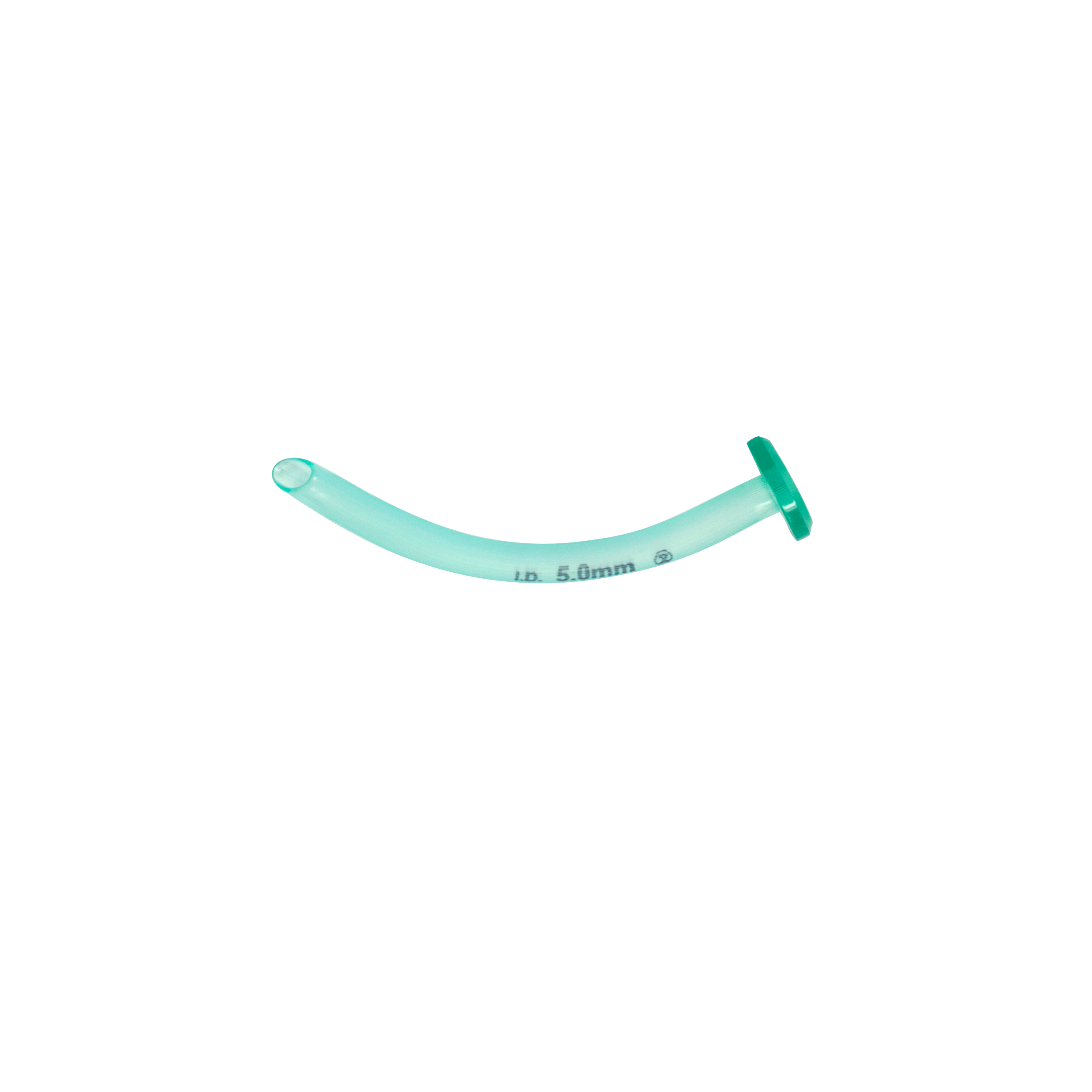 Nasopharyngeal Airway